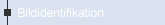 Bildidentifikation
